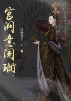 宫阙意阑珊在线阅读