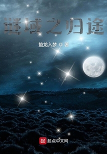 謎域之歸途