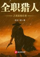 全职猎人之崛起流星街在线阅读