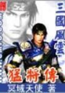 三國風云之猛將傳