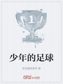 少年的足球