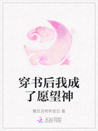 穿书后我成了愿望神