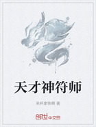 天才神符师在线阅读