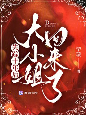 失踪十年后，大小姐回来了在线阅读