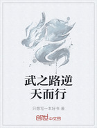 武之路逆天而行在线阅读
