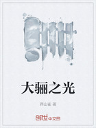 大骊之光在线阅读