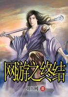 網游之終結在線閱讀