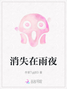 消失在雨夜