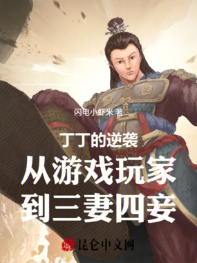 丁丁的逆袭从游戏玩家到三妻四妾在线阅读