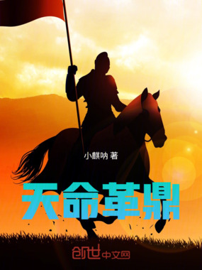 天命革鼎在线阅读