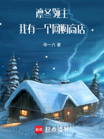 凛冬领主:我有一个网购商店 cover