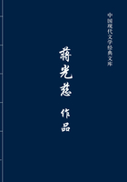 蒋光慈作品（中国现代文学经典文库）在线阅读