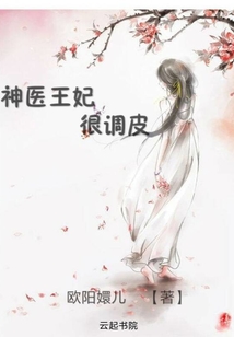 神醫王妃很調皮
