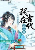 菜单系统:我在古代做美食在线阅读
