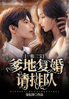 一胎三寶爹地復婚請排隊在線閱讀