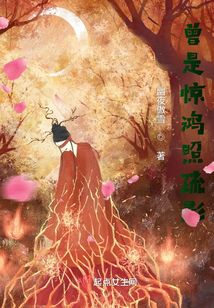 曾是惊鸿照疏影在线阅读