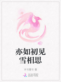 亦如初見雪相思