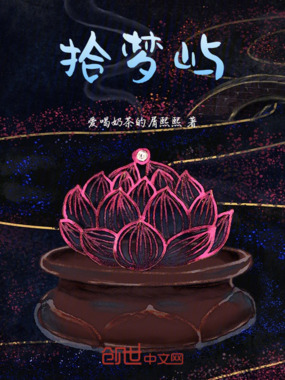 拾梦屿在线阅读