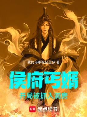 侯府丐婿,开局被抓入洞房在线阅读