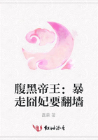 腹黑帝王：暴走囧妃要翻墻在線閱讀