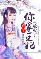 殿下，你家王妃放火了在線閱讀