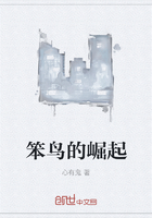 笨鳥的崛起在線閱讀