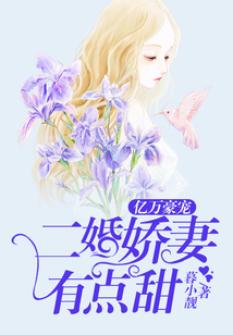 億萬豪寵：二婚嬌妻有點甜
