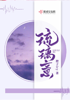 琉璃意在線閱讀