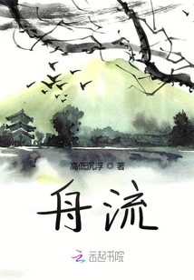 舟流