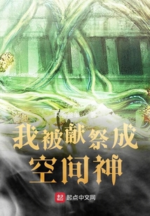 我被獻祭成空間神