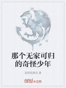 那個無家可歸的奇怪少年