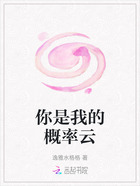 你是我的概率云在线阅读