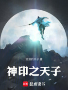 神印之天子在线阅读