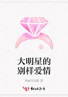 大明星的別樣愛情在線閱讀