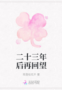 二十三年后再回望