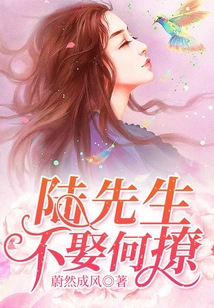 陆先生,不娶何撩