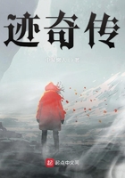 迹奇传