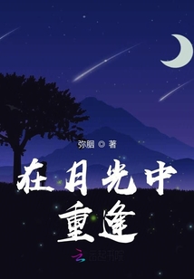 在月光中重逢