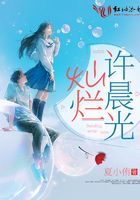 燦爛許晨光在線閱讀