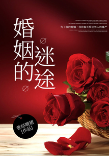 婚姻的迷途在线阅读
