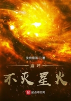 崩坏:不灭星火