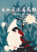白山茶沒有花期在線閱讀