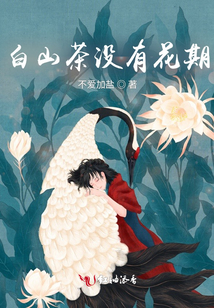 白山茶沒(méi)有花期