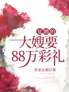 復婚的大嫂要88萬彩禮在線閱讀