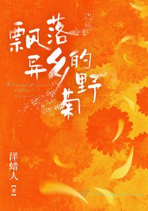 飄落異鄉(xiāng)的野菊