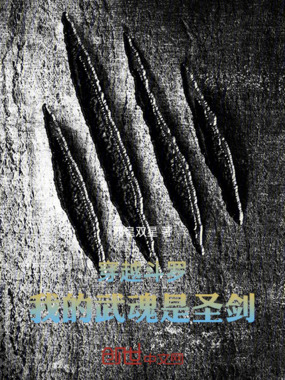 穿越斗罗，我的武魂是圣剑！在线阅读