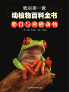 我的第一套动植物百科全书:爬行与两栖动物在线阅读