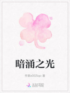 暗涌之光在线阅读