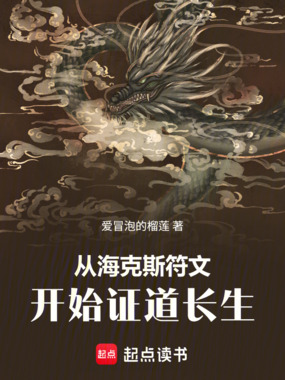 从海克斯符文开始证道长生在线阅读