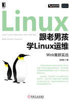 跟老男孩学Linux运维：Web集群实战在线阅读